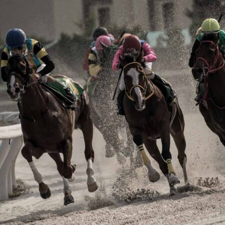Unleash Your Inner Gambler with Horse Race Betting