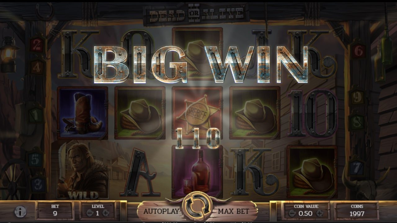 Dead or Alive 2 slot big win